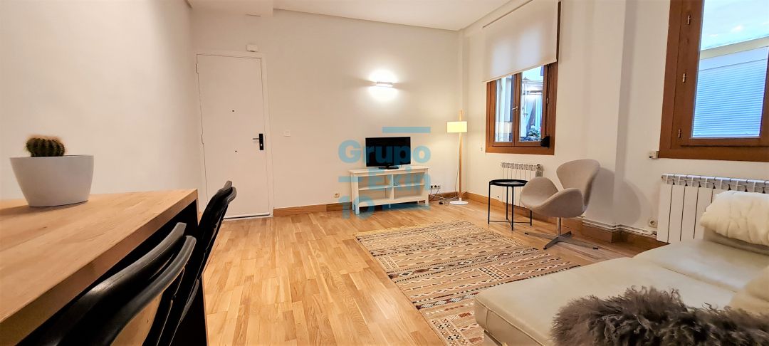 flat to rent donostia san sebastian